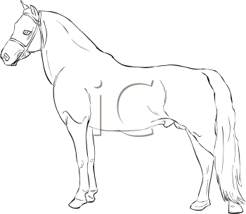 Horse Clipart