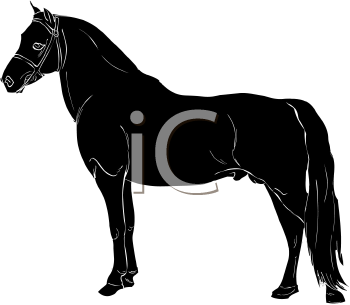 Horse Clipart