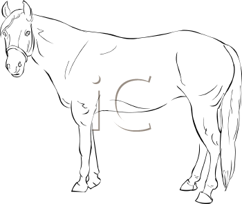 Horse Clipart