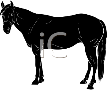 Horse Clipart