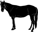 Horse Clipart