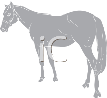 Horse Clipart