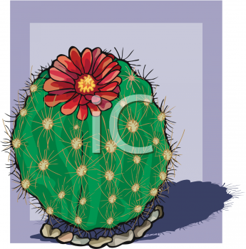 Cactus Clipart