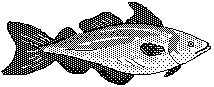 Free Aquarium Fish Clipart