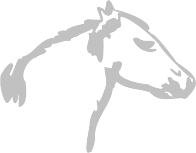 Free Horse Coloring Pages Clipart