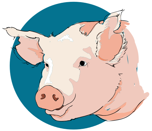 wilbur the pig clipart black