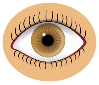 Free Eye Clipart