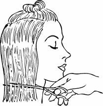 Free Hair Clipart