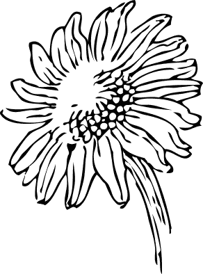 Free Sunflower Clipart