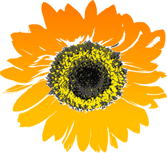 Free Sunflower Clipart