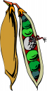 Peas Clipart