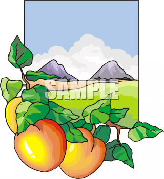 Produce Clipart