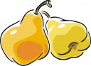 Pear Clipart