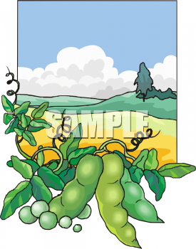 Produce Clipart