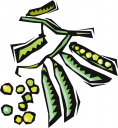 Peas Clipart