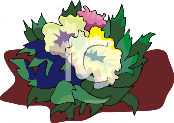 Peony Clipart