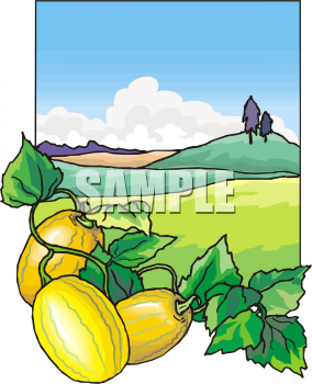 Pepper Clipart