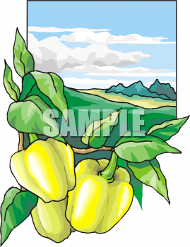 Produce Clipart