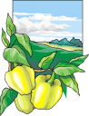 Produce Clipart