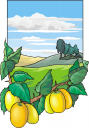 Produce Clipart