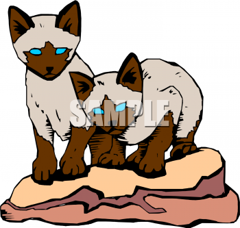 Cat Clipart