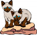 Cat Clipart