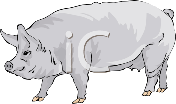 Mammal Clipart