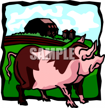 Pig Clipart