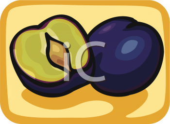 Plum Clipart