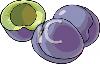 Plum Clipart