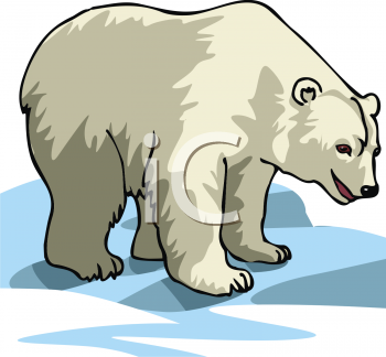 Bear Clipart