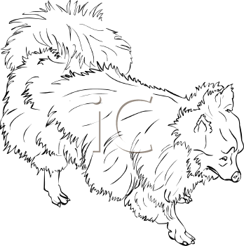 Dog Clipart