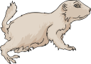 Dog Clipart