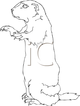 Dog Clipart