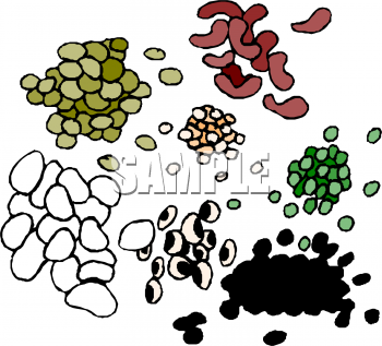 Bean Clipart