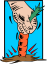 Carrot Clipart