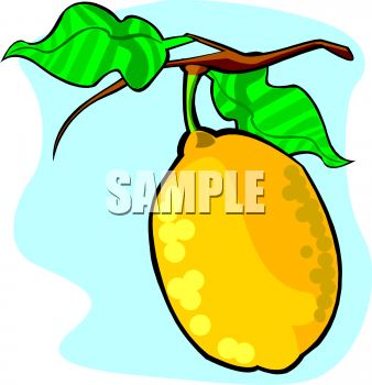 Lemon Clipart