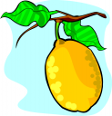 Lemon Clipart