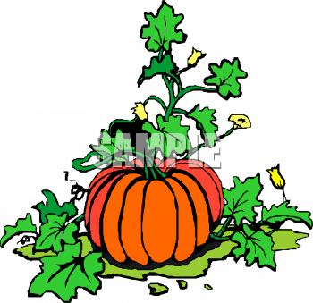 Pumpkin Clipart