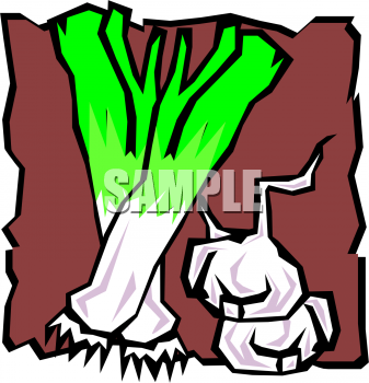 Garlic Clipart