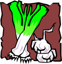 Garlic Clipart