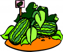 Watermelon Clipart