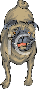 Dog Clipart