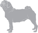 Dog Clipart