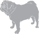 Dog Clipart