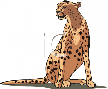 Cheetah Clipart