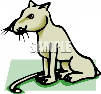 Cougar Clipart