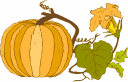 Pumpkin Clipart