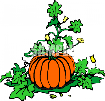 Pumpkin Clipart