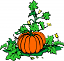 Pumpkin Clipart